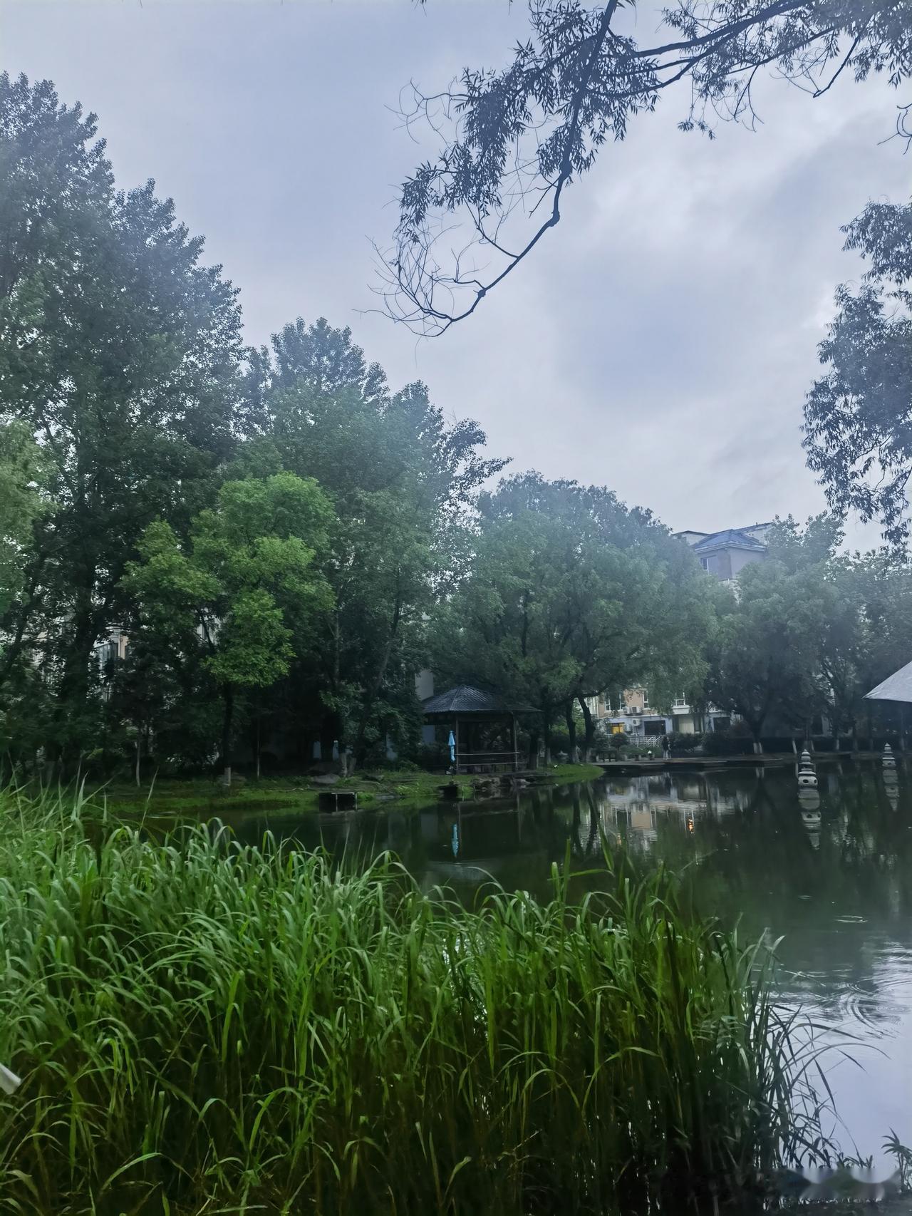 这创维电视还真让我觉得买什么就买龙头品牌，不用费劲心思选择

我自己家电视是我在