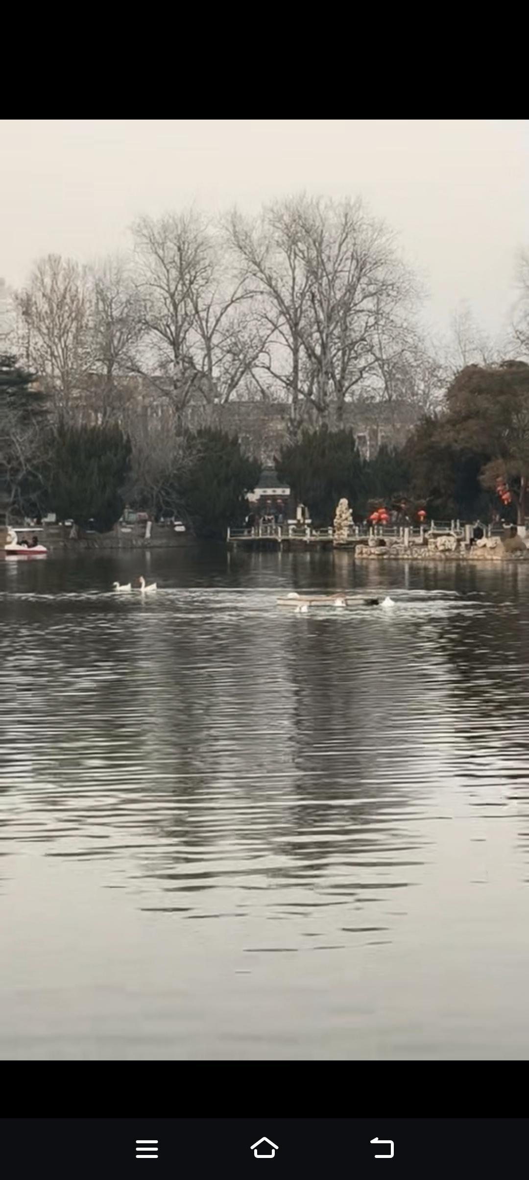 湖光潋滟映晴空，白鹭悠然戏水中，这样的画面简直美到让人窒息。我想起之前去的一个湖