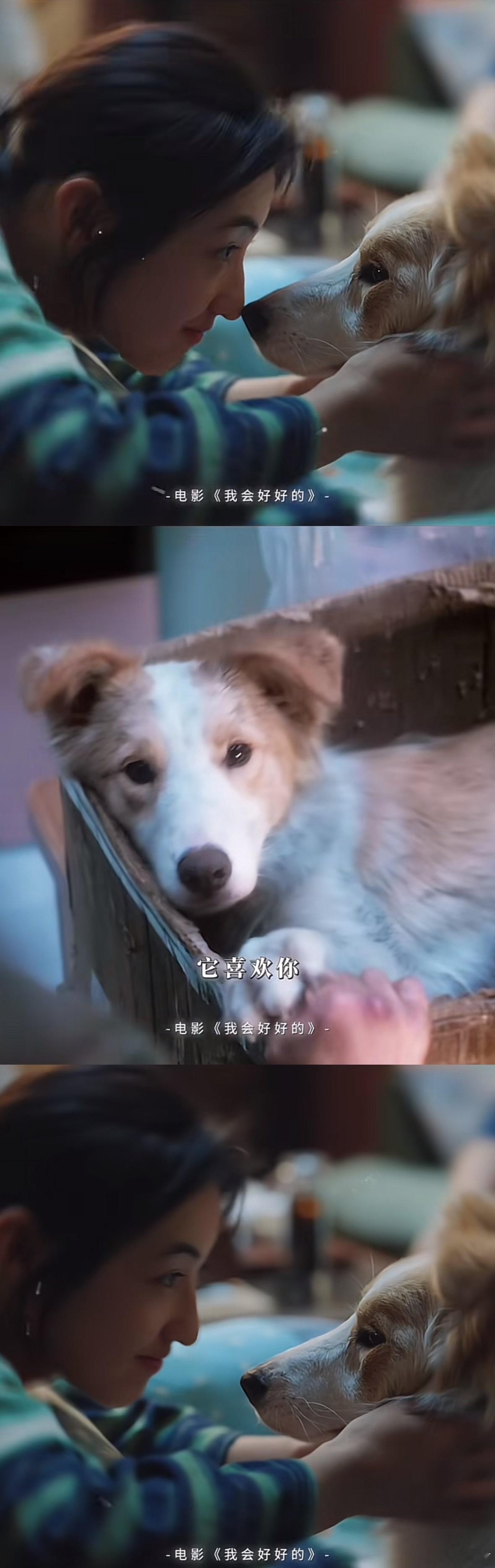 张子枫谈和塔塔双向奔赴原来在拍摄《我会好好的》时，张子枫和塔塔就已经双向奔赴。他