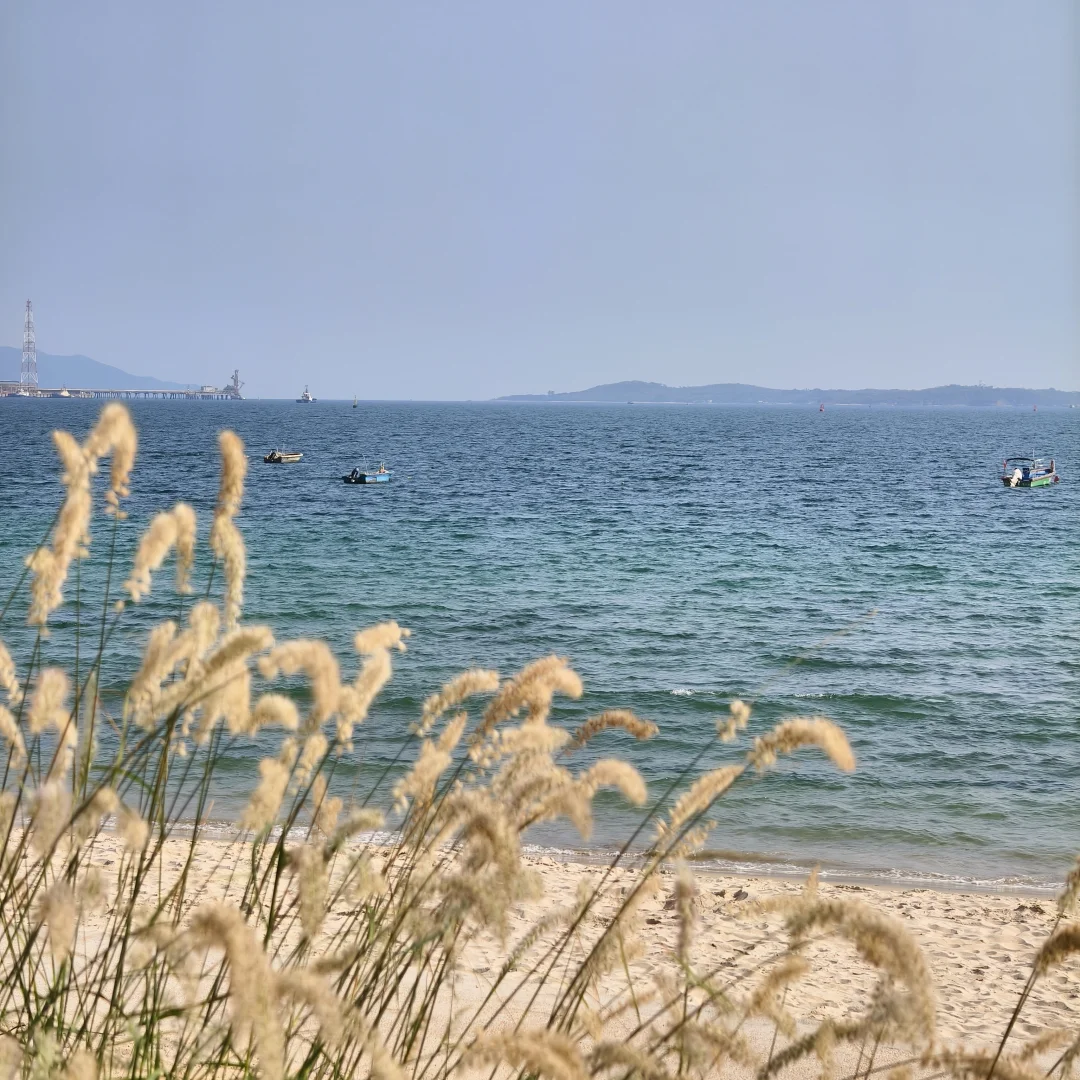 海边治愈系