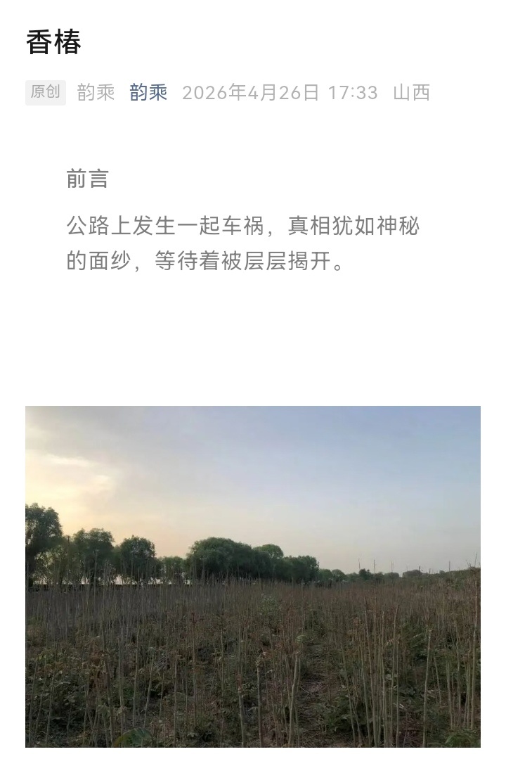 【香椿】“公路上发生一起车祸，真相犹如神秘的面纱，等待着被层层揭开。”中篇小说《