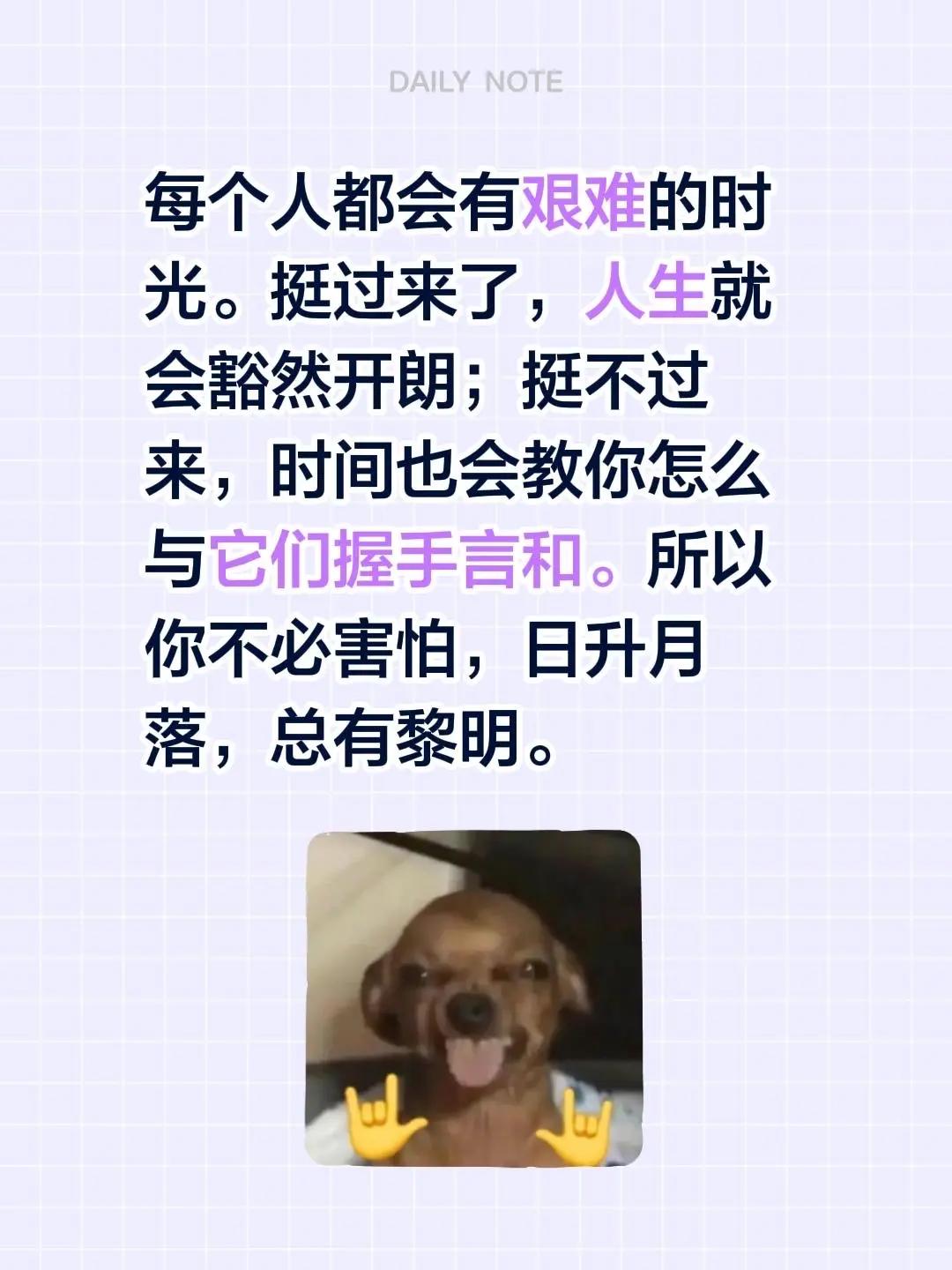 蓝光心里话。我评论了@流年. 的作品：每个人都会有艰难的时光。挺过来了，人生就会