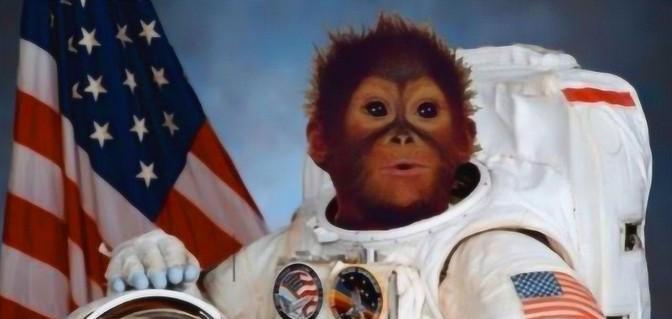 63年前，美国将一只3岁的黑猩猩送上了太空，16分钟回到地球以后，发现他没啥毛病