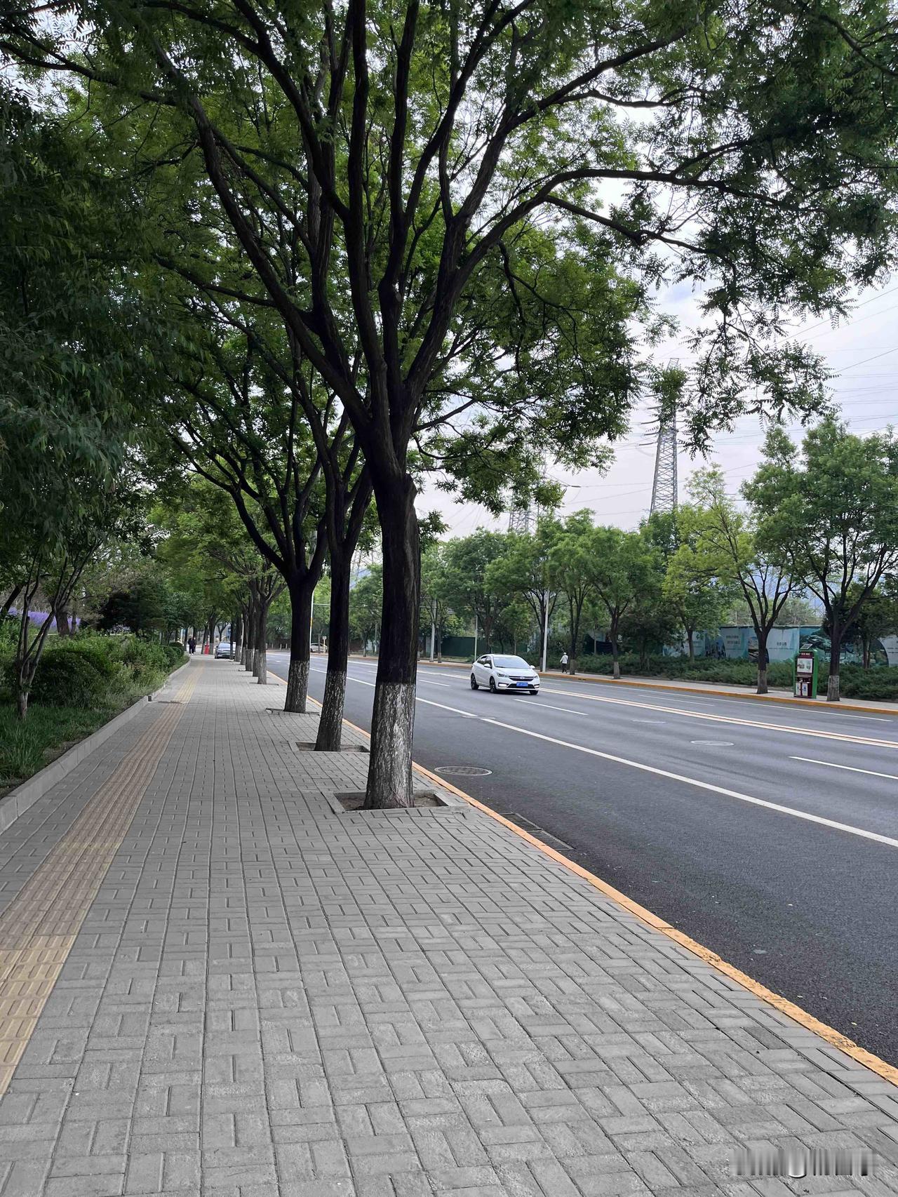 大好春光别人去旅游，我却在空荡荡的校园上课：不患寡，患不均啊

我们学校，6-7