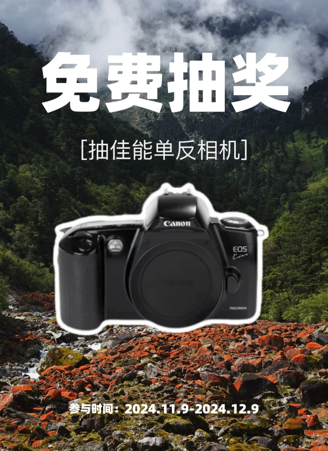 11月限时宠粉福利❗️佳能相机📷免费送啦