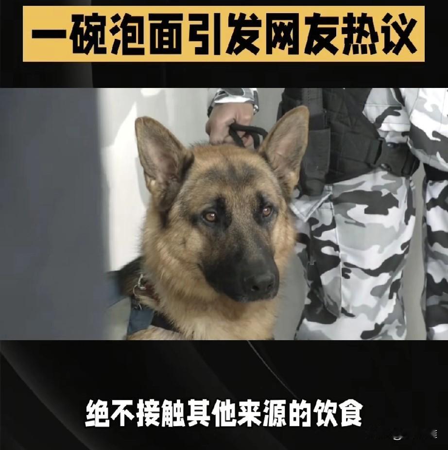 “没见过世面的东西！”火车站候车厅一位旅客蹲在地上，手里捧着刚泡好的方便面准备开