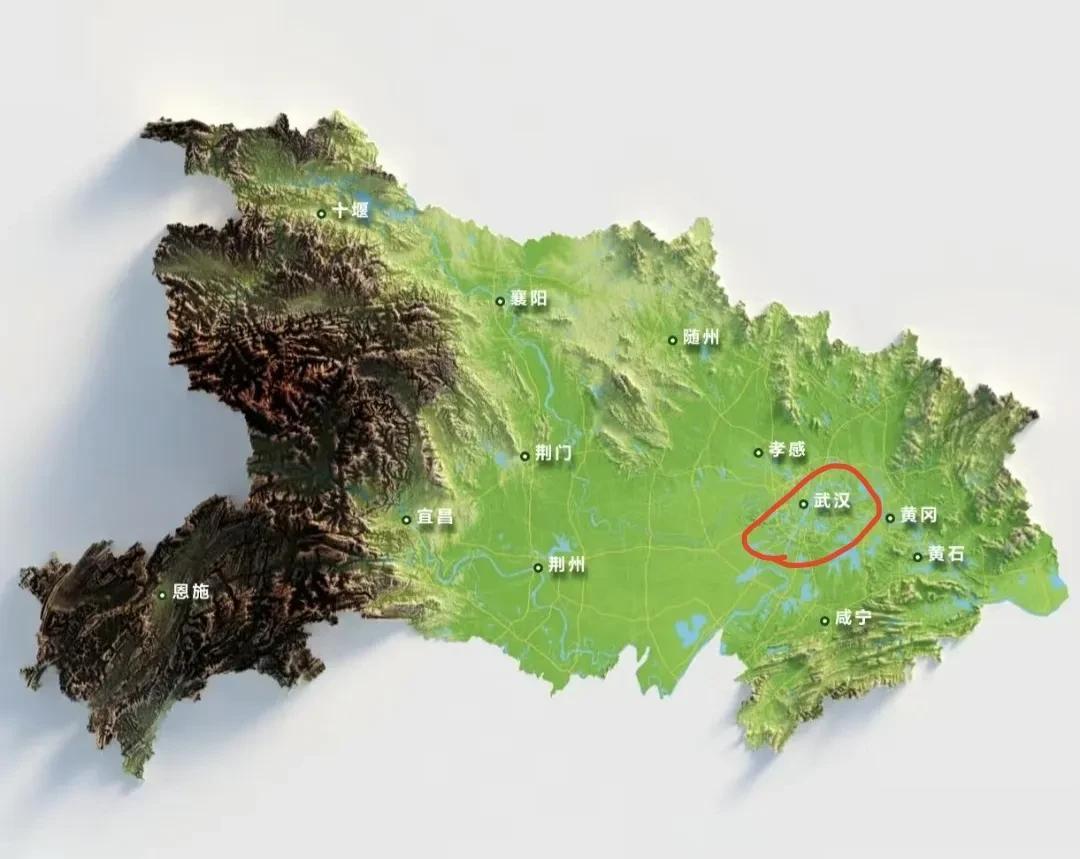 武汉是山水城市，有大江大湖，100多个湖，还有好多山。城市不可能集中，高楼大厦也
