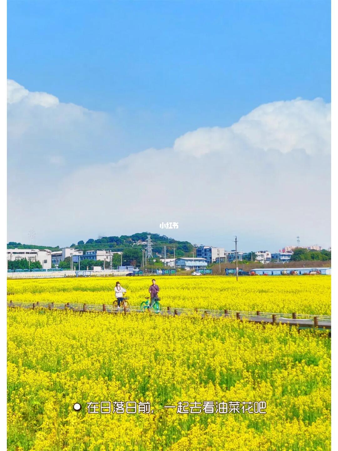 “报告组织，找到东莞春日浪漫地了💑”