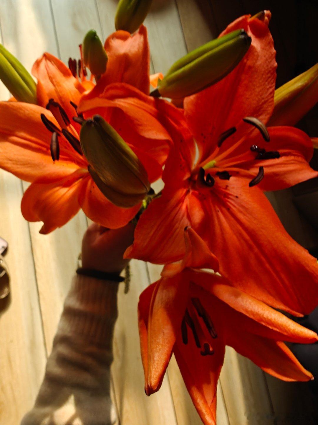 第五人格[超话] 你心目中第五最珍贵的皮肤是哪个？[馋嘴] 