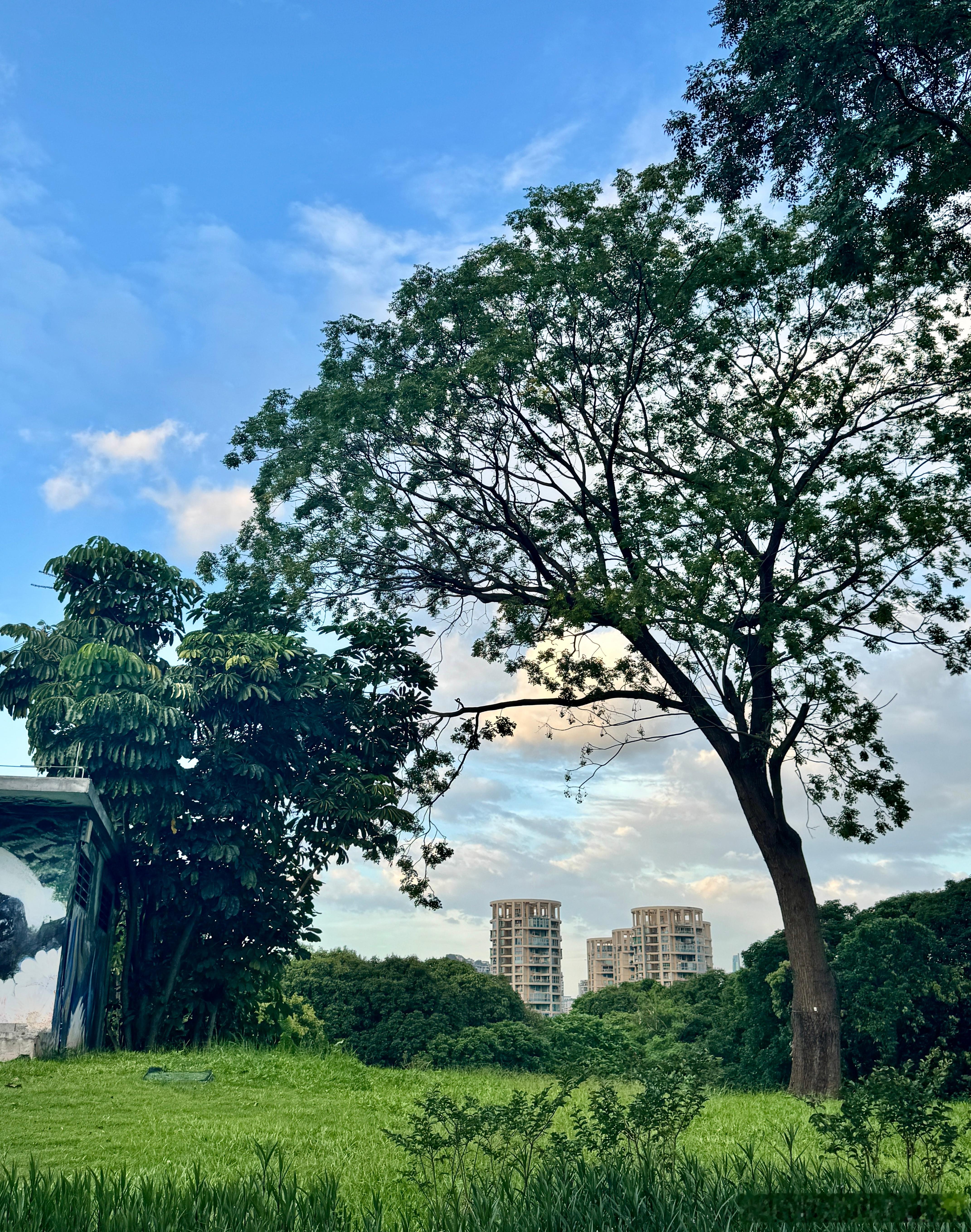 投机周期：投机周期通常始于一个沉闷、不活跃的市场阶段，价格波动微小，公众兴趣寥寥