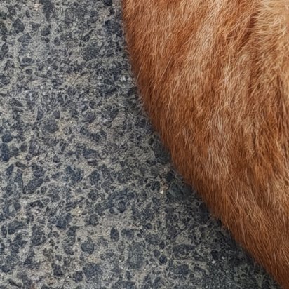 弘扬爱国主义精神，必须坚持立足民族又面向世界。中国的命运与世界的命运紧密相关。我