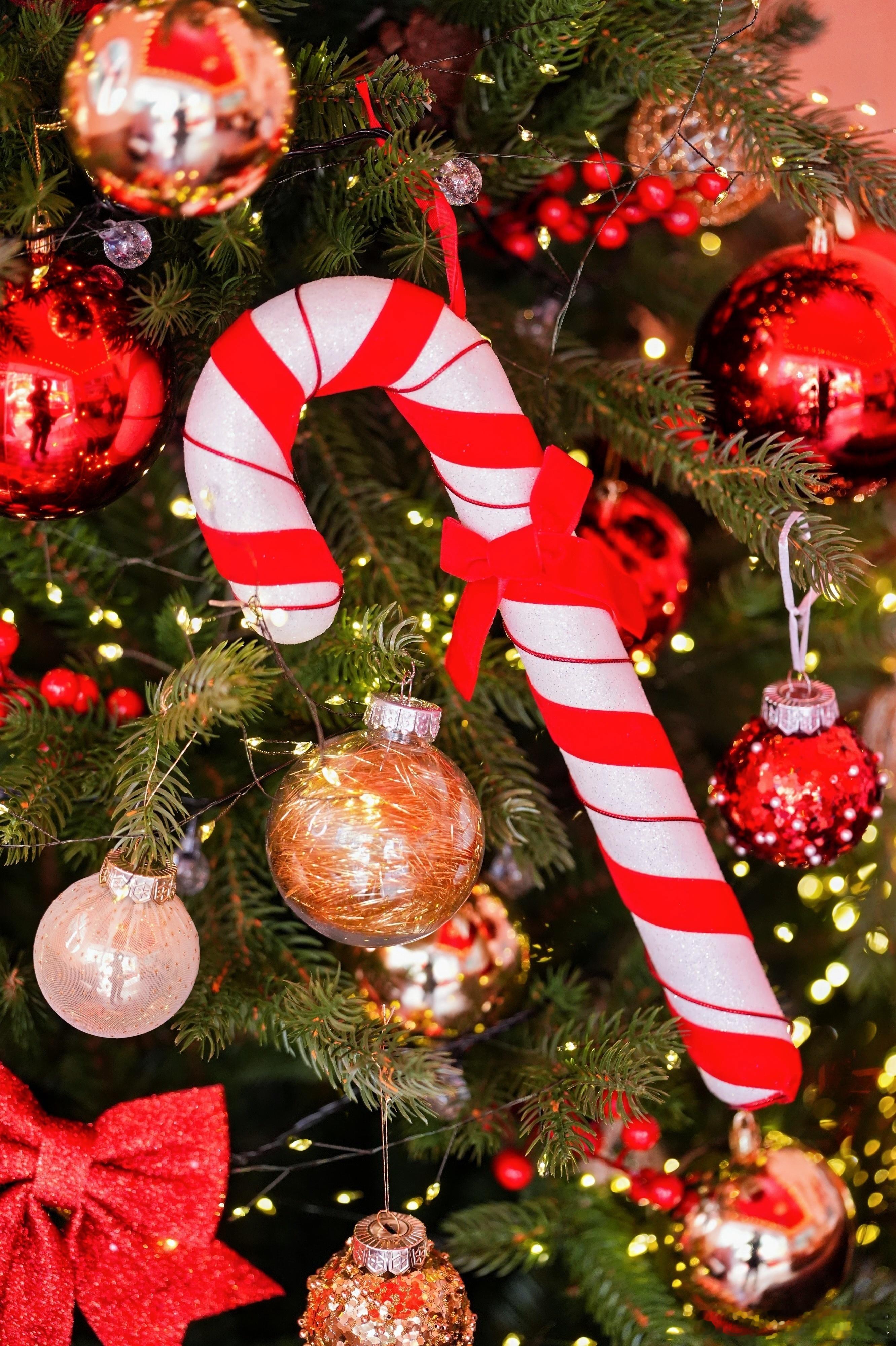 上海又到了一年中最幸福的时刻 救命！上海糯米儿冬日限定打卡地真的绝了！每一处布景