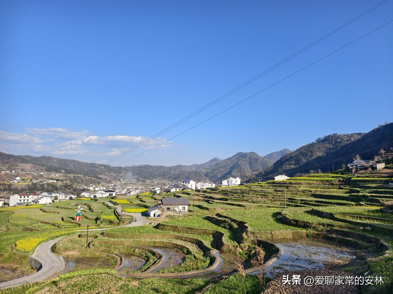 昨天去平利儒林堡看油菜花海，结果没想到大失所望。哪里有花海，只有零零星星的几块花