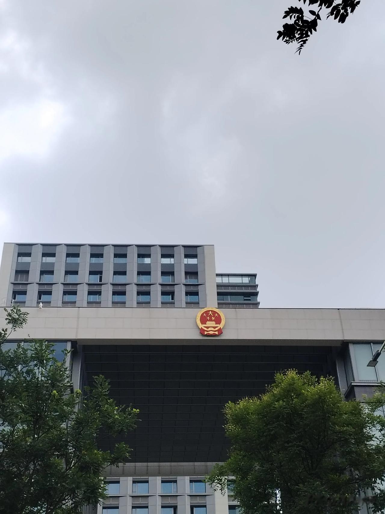 这办公环境确实是相当的奈斯呀