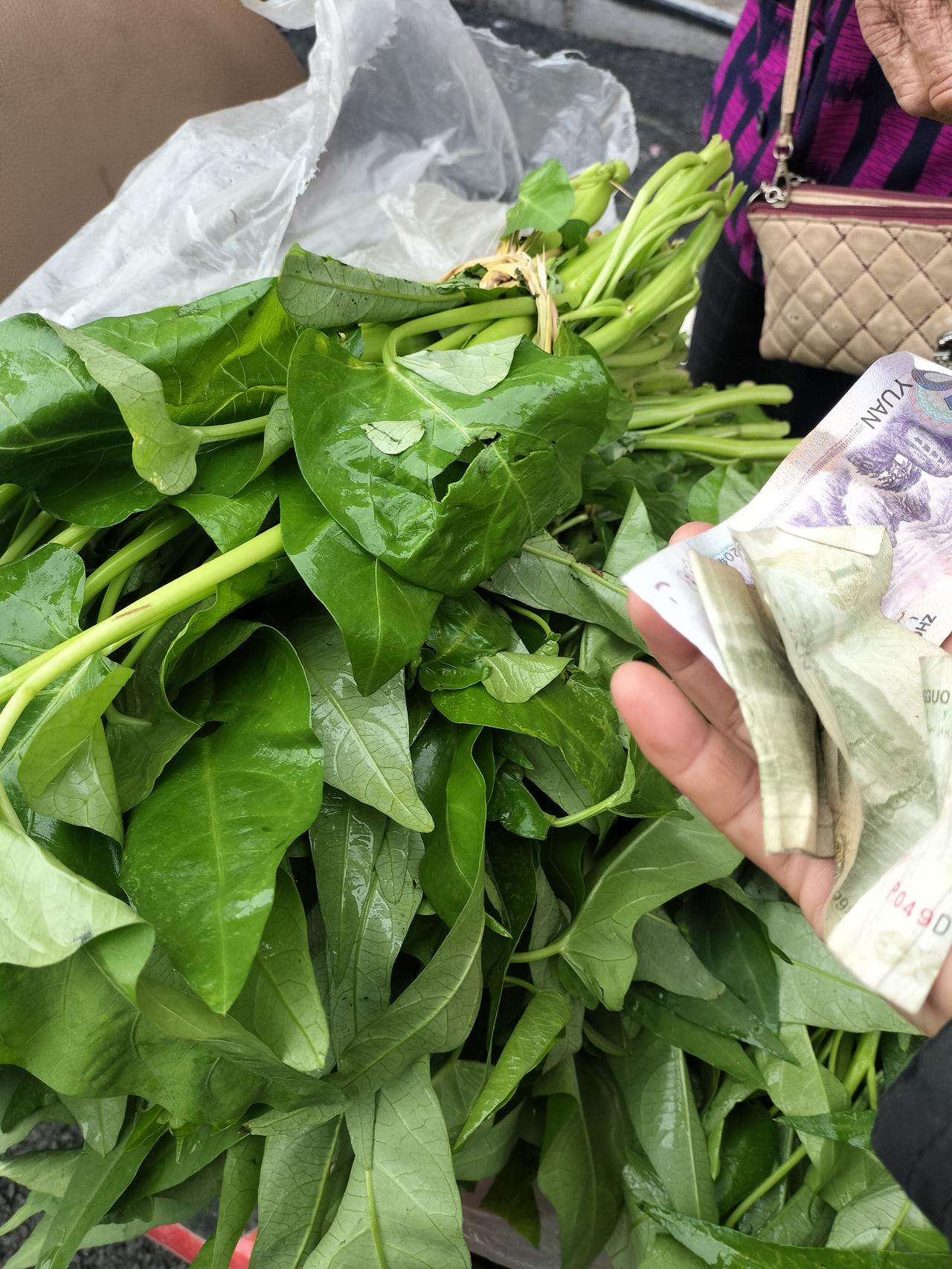 1元钱一把空心菜，够便宜了吧，这是我今天在街上买的，一个卖空心菜的阿姨来街上卖，