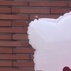 生活手记 我知这世界如露水般短暂  然而然而 