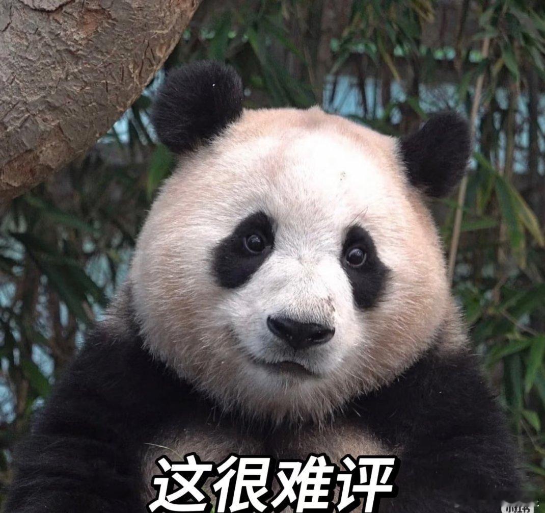 抖音封了打焦赞直播间这个抖音为啥要封？这是秦腔文化曲目，又不是主角电视剧片段。这