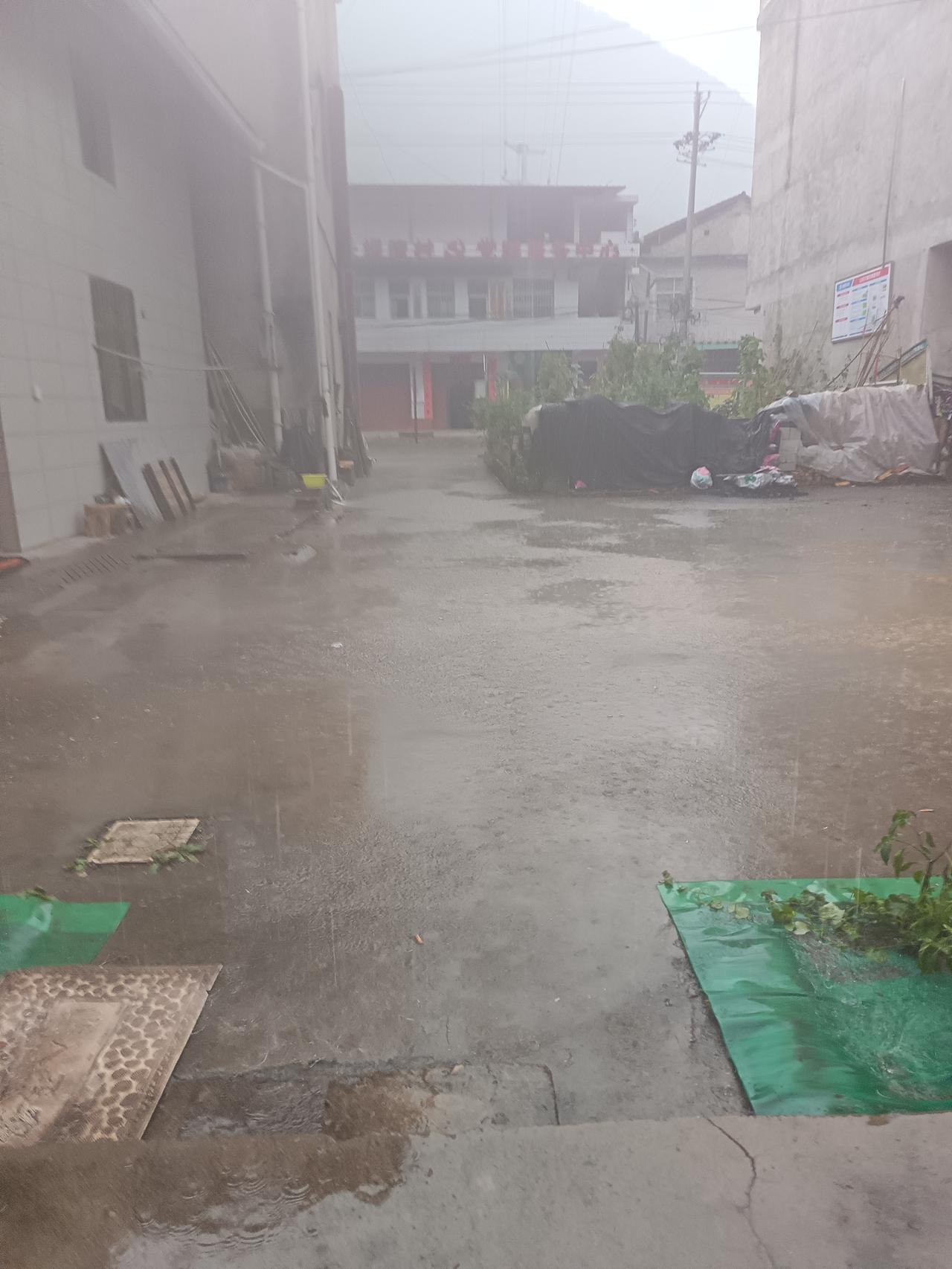 老天总算下雨了
前几日
云朵悠悠浮于高空，
似山像岭筑起奇峰。
地上旱禾几近枯亡