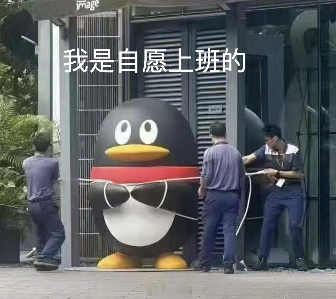 笑的我不行了，到底守护了什么 ​​​