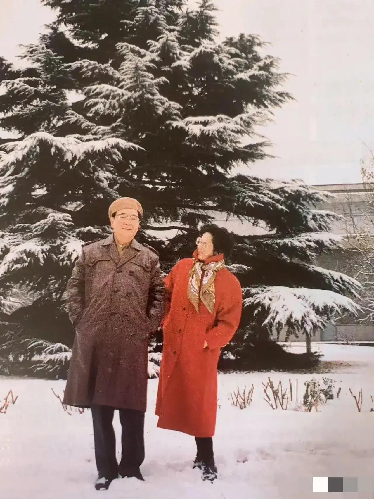 九十年代，李鹏同志与夫人朱琳的合影

一天外面下起了鹅毛大雪，李鹏、朱琳夫妇也像