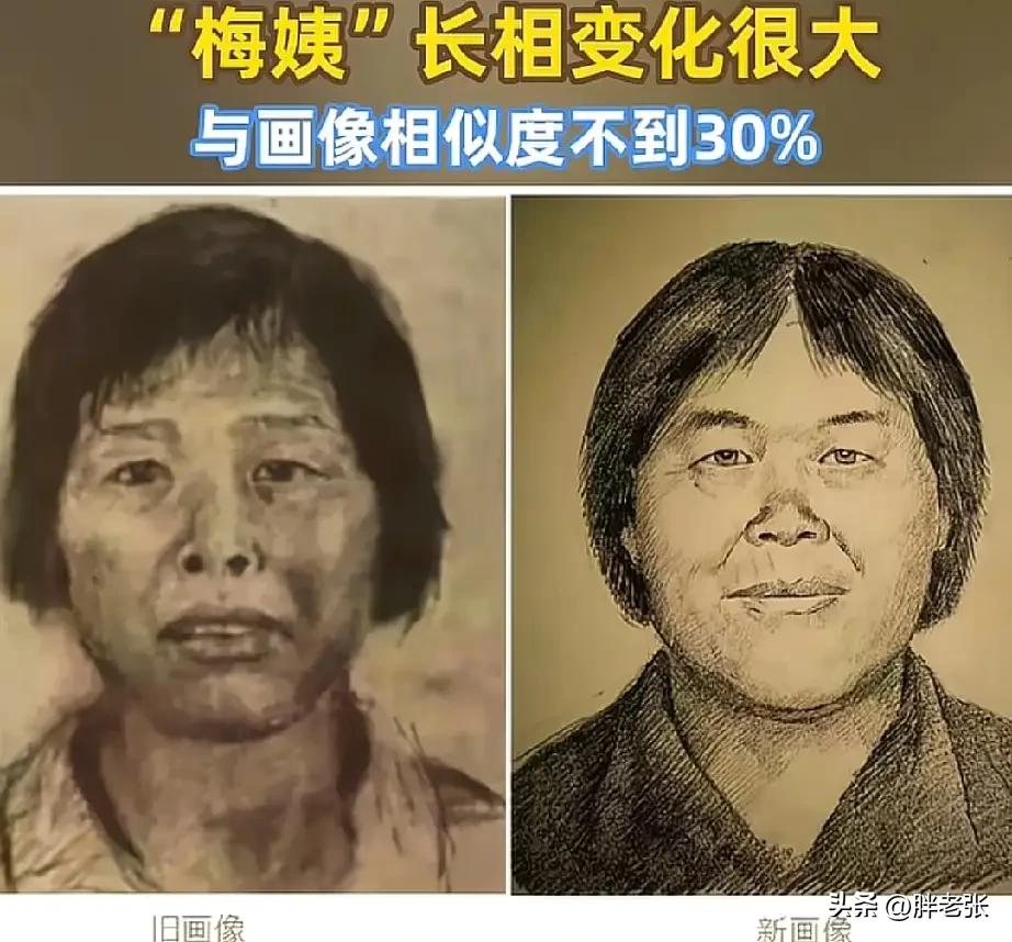 追凶23年，梅姨终落网！

看到广州警方的通报真的大快人心，这场跨越23年的追捕