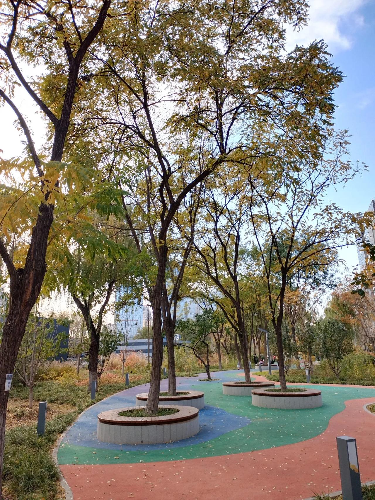 清平乐   初冬抒怀
文/李耀海
枝头鸣鸟，
报与初冬到。
落木飘飘凭弄俏，
快