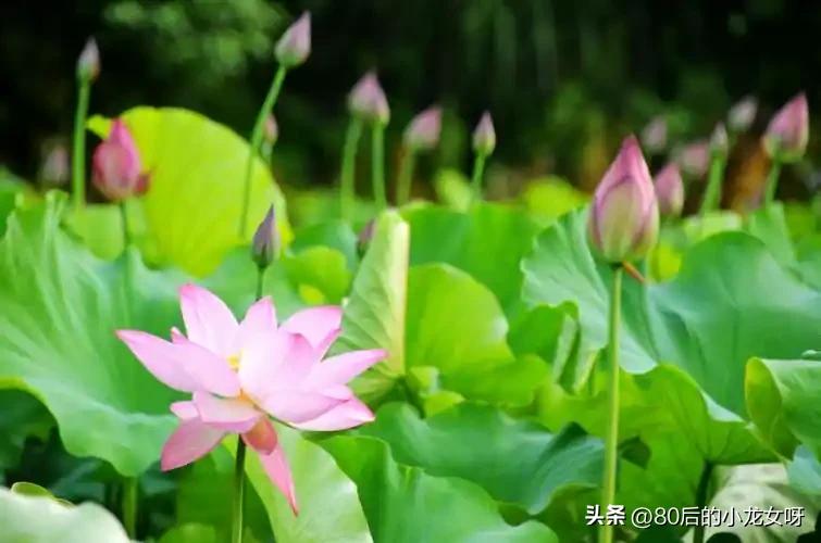 相亲女碰上相亲男，交往前男方要求女方需做身体健康状况的体检，如果是你，你会怎么做