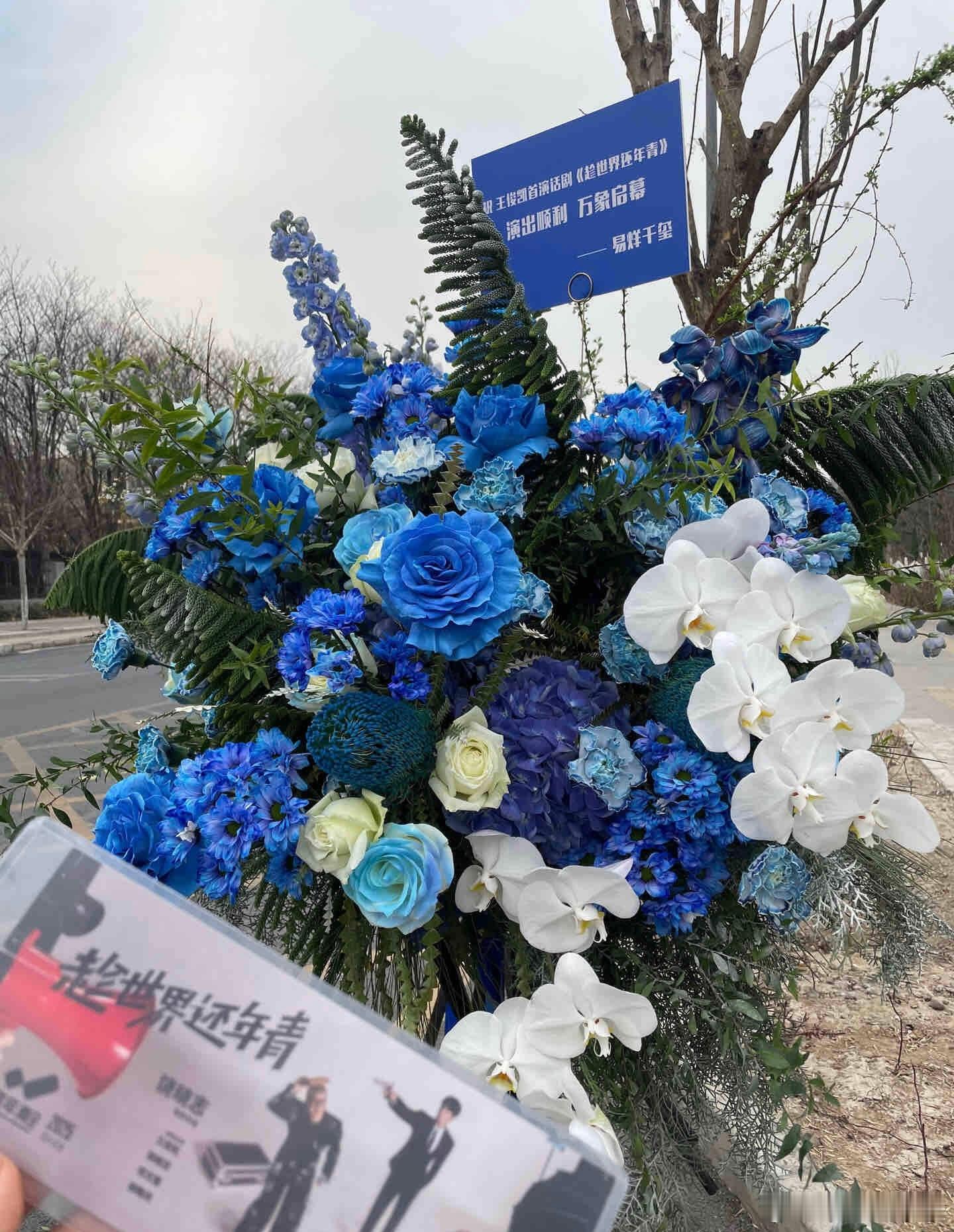 易烊千玺给王俊凯话剧演出送了花篮“演出顺利 万象启蒙”，特意挑选的蓝色稀有花易烊
