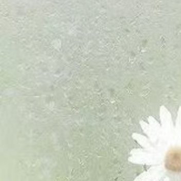 每一个平淡的日子都值得尊重，每一个还在身边的人都应该珍惜，愿你眼里有星辰，身边有