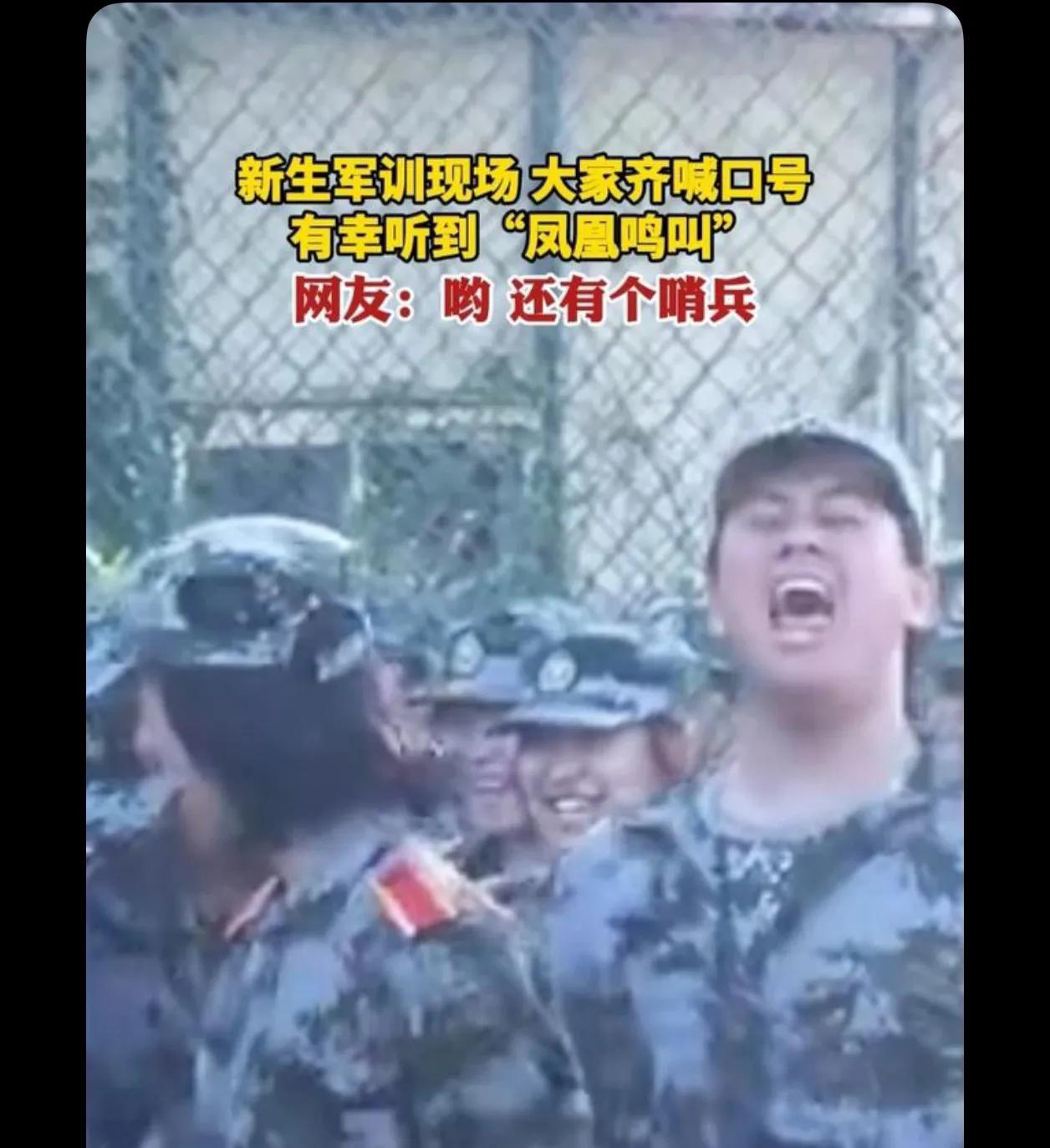 嗓子：有啥病痛的，命令必须响亮

其实就他一个最像样 当过兵的都知道

昆山玉碎
