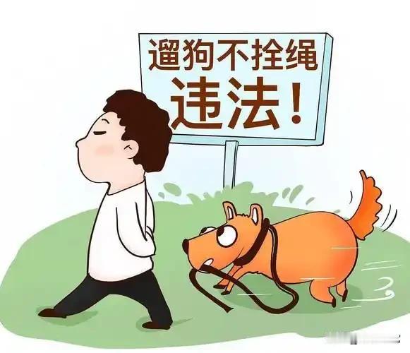 不文明养狗的呼声让更多无辜的狗狗惨遭残害，而非人类
  别让不文明养狗的“锅”，