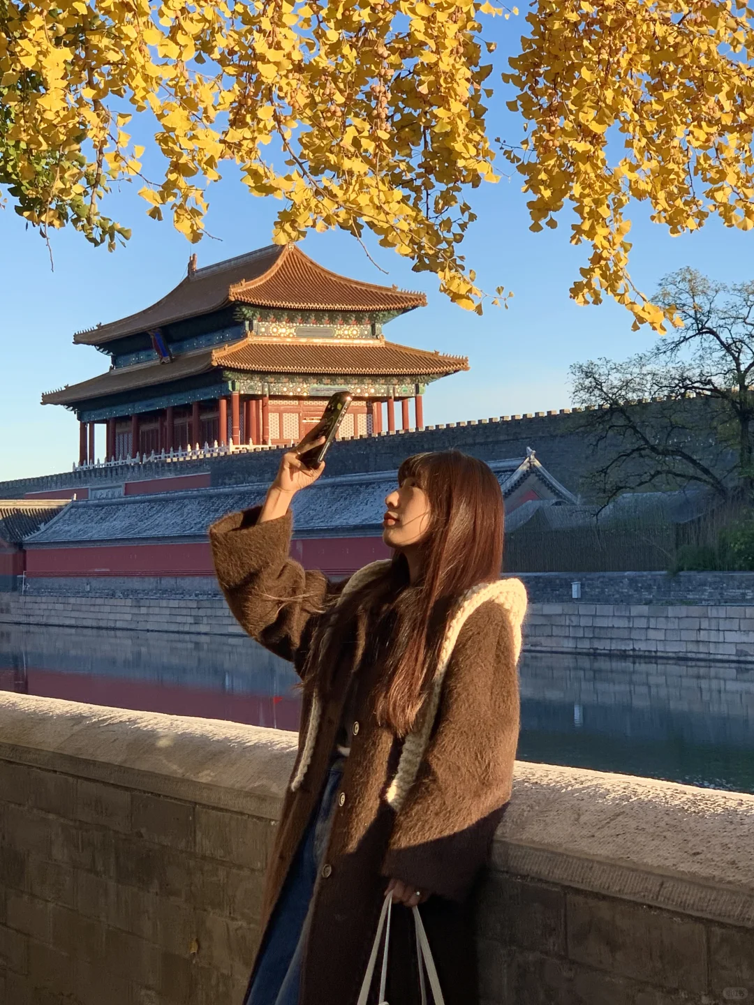 北京银杏季🍂一些不花钱的绝美秋景（附地址！