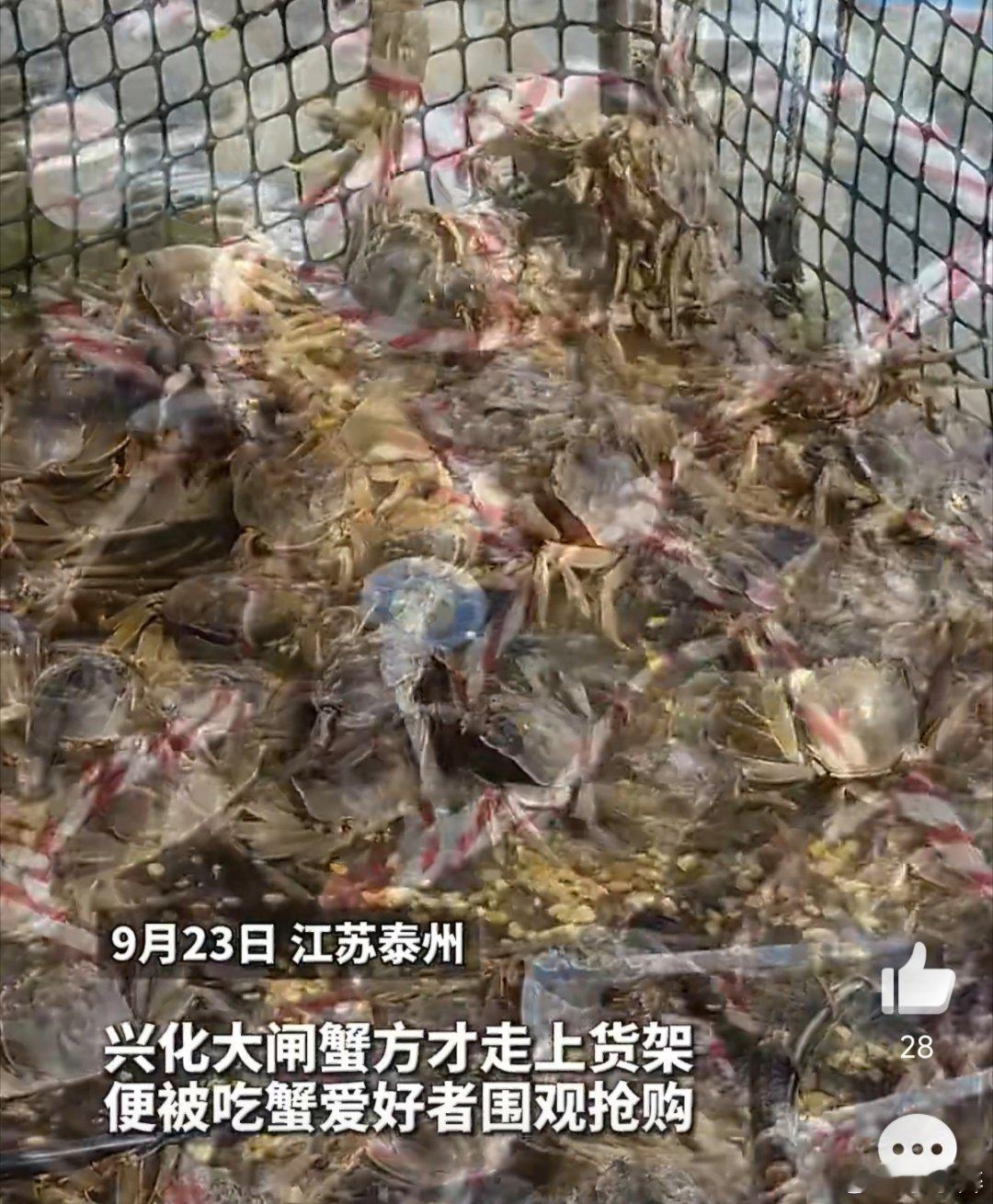 泰州的电子验蟹师已在节前上岗江苏人终于能实现挑蟹0翻车了江苏泰州“电子验蟹师”太