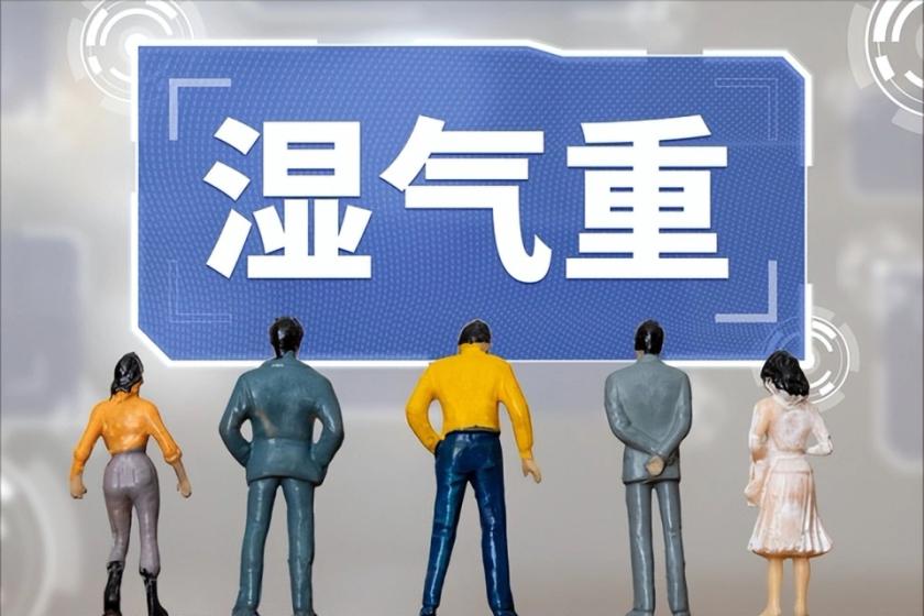 三伏要排湿，秋冬病不沾！这菜是"祛湿冠军"，隔天吃一次，火气减了，脾胃好了，睡得
