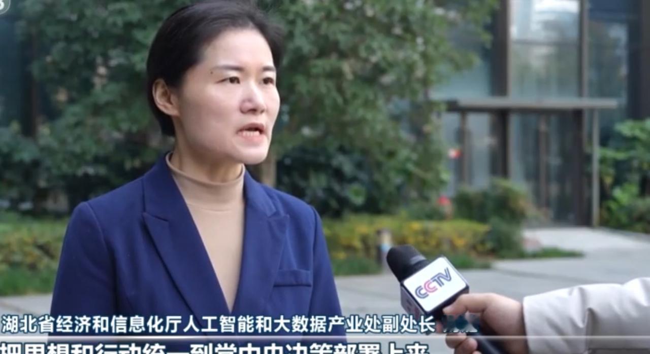 从湖北的科创一线到西藏的雪域高原，发展的脉搏在不同地域同频跳动。湖北的刘婕与团队