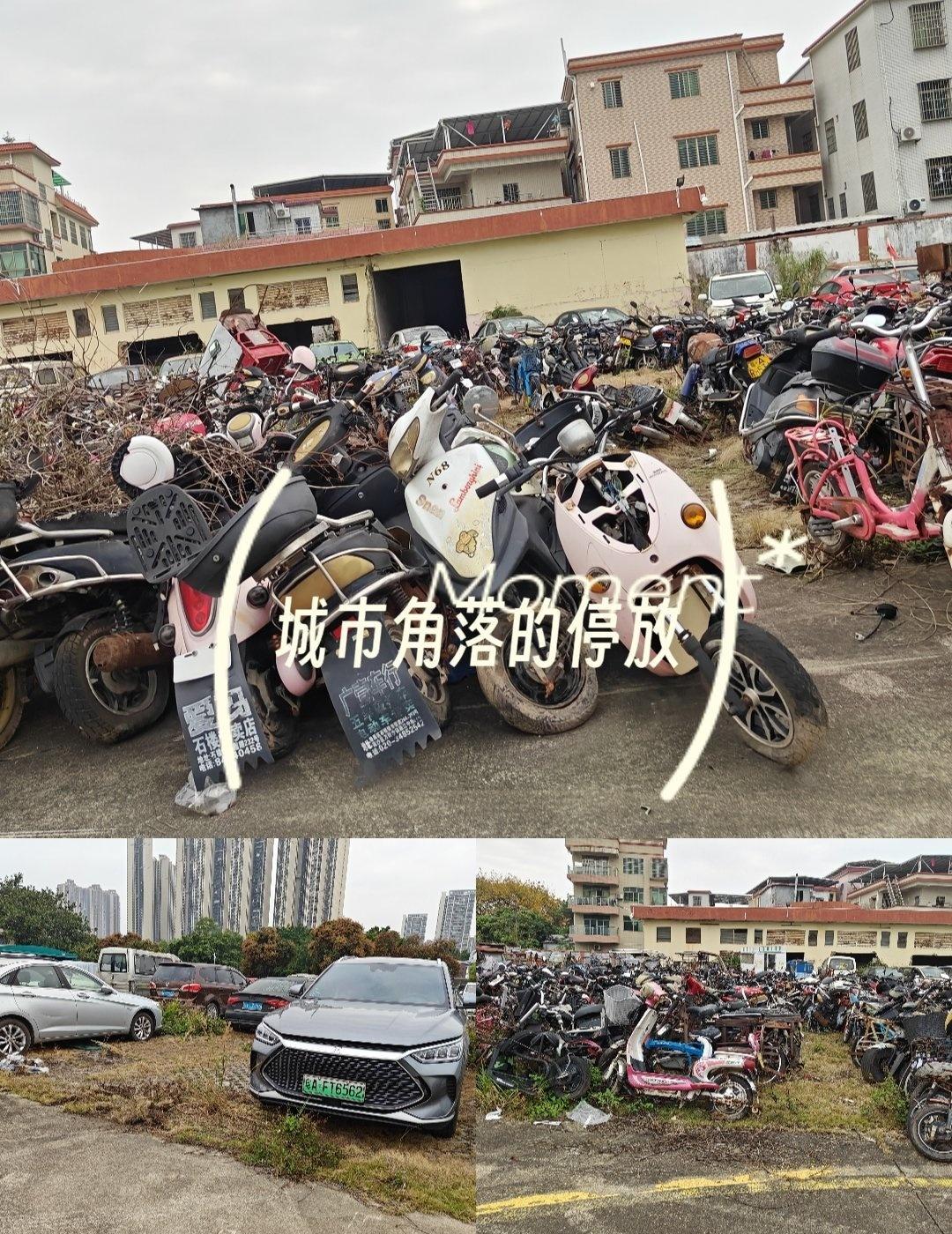 探访番安浮莲，打工人的大型emo现场
📍广州 番安浮莲停车场
实地打卡番安浮莲