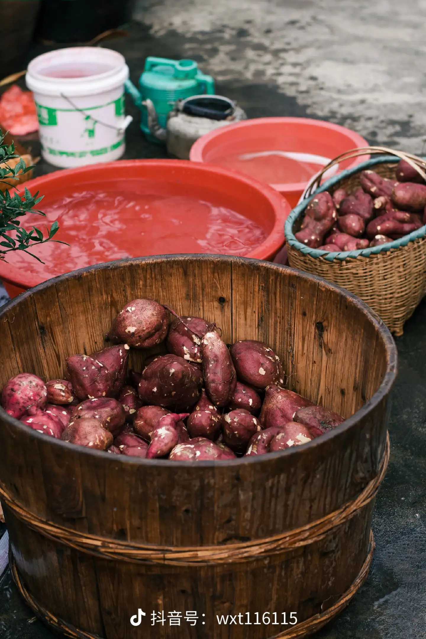 "老家才是疲惫生活里的解药"