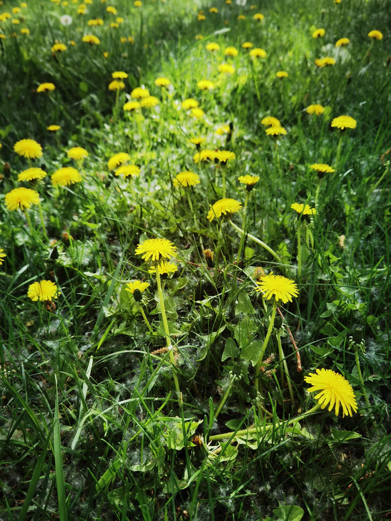 干旱荒凉的土地上怎么会有风景? 
通常情况下，干旱荒凉的土地上是没有风景的，因为