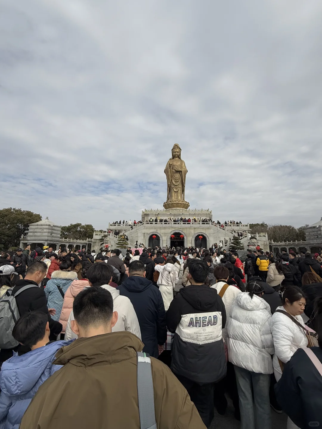 大年初二普陀山现状实况！！！！！感觉有一亿人！