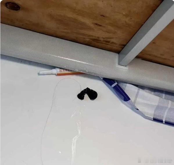 舍友床缝掉下来的 要提醒他吗？ 
