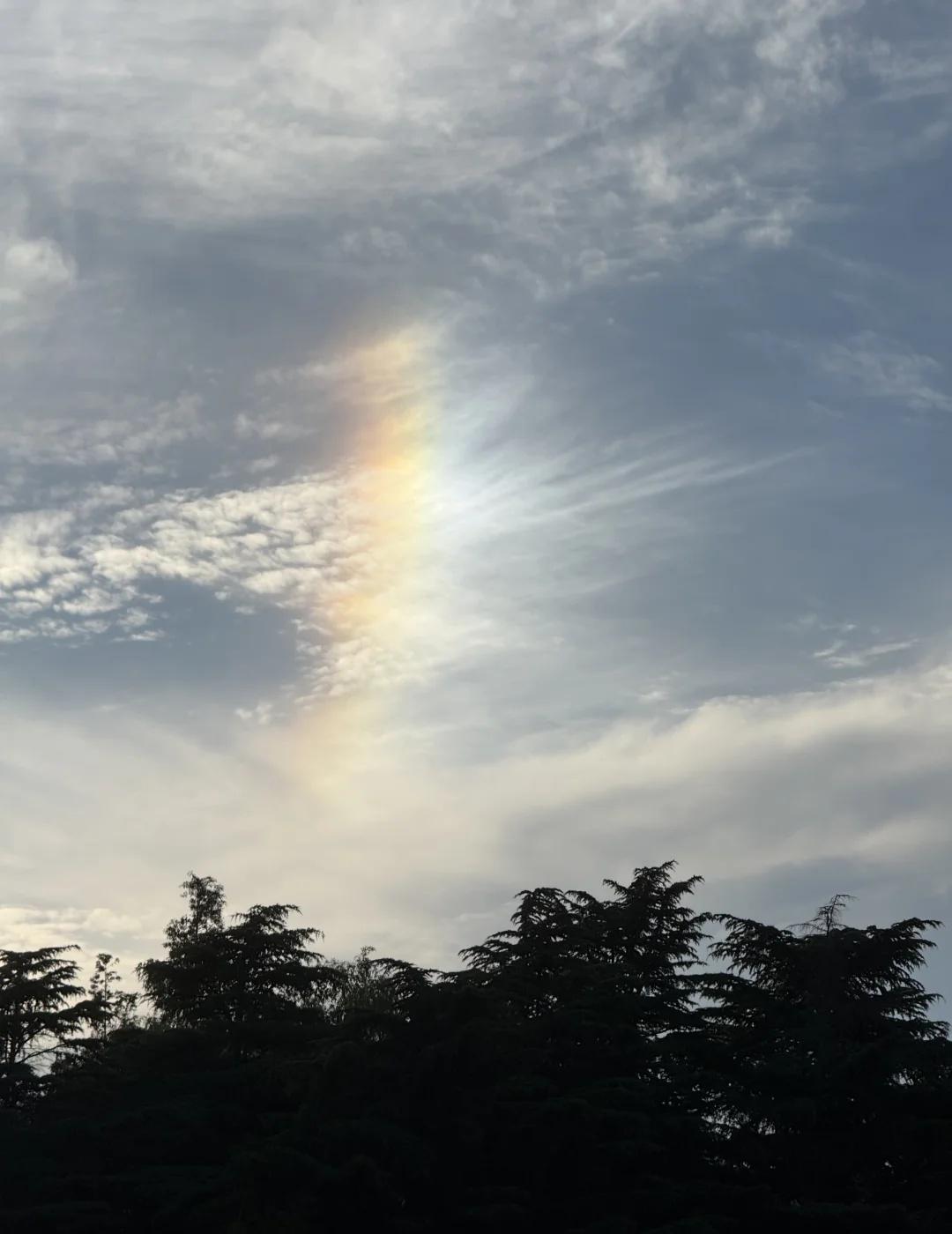 我的天哪！青岛突现彩虹🌈
在船上游着湖，看天突然出现了一片彩虹🌈
今天完全没