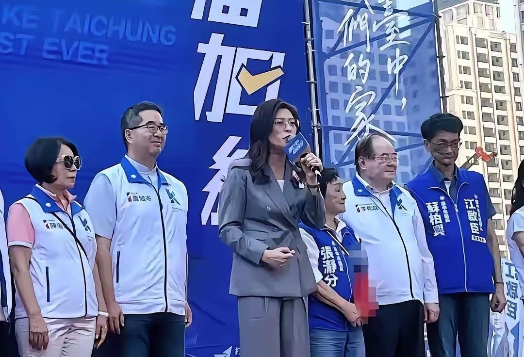 有一种感觉，台湾省不是在选举，就是在选举的路上，政治人物除了拼选举，其它的事情都