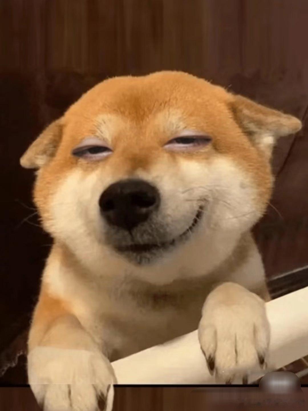 舔到极致就是艺术，暗恋到深处全是哲学，上班只想双休，舔狗全年无休 。发誓要做秋天