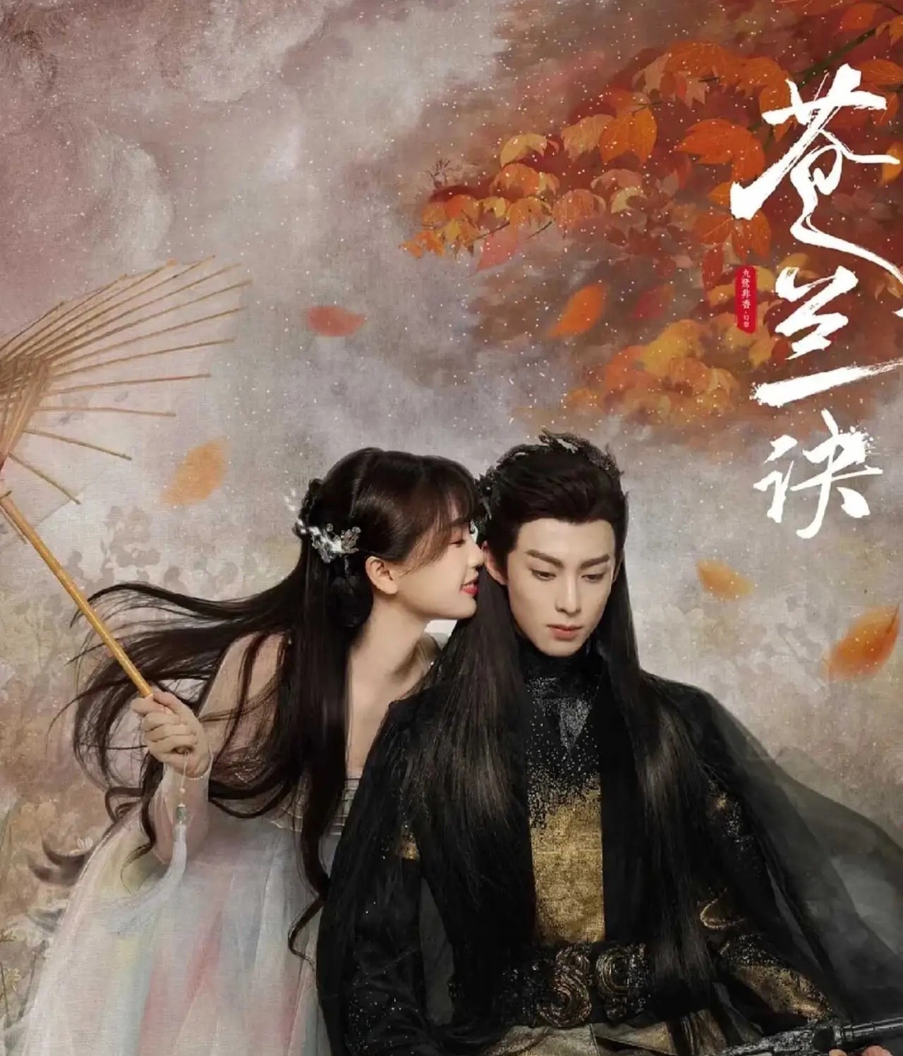 王鹤棣出道以来作品还真不少，有冷门的，更有最火爆的，这三部剧真的最好看。第一部《
