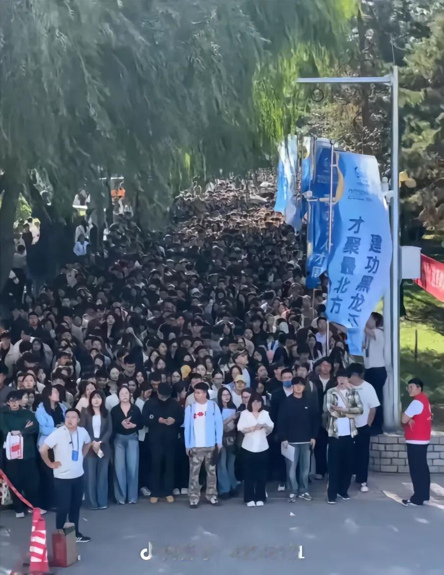傻眼了，11万年轻人参加招聘会，人山人海都不足以形容当时的场面。
黑龙江举行的高