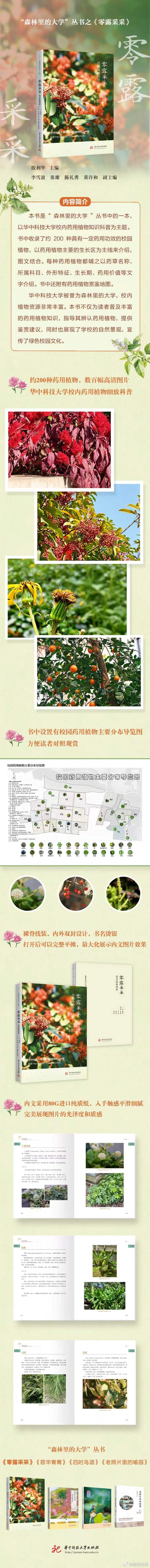 读书治愈了我的精神内耗书评用文字填满浪漫时光 📚《零露采采》出版：本书是“森林