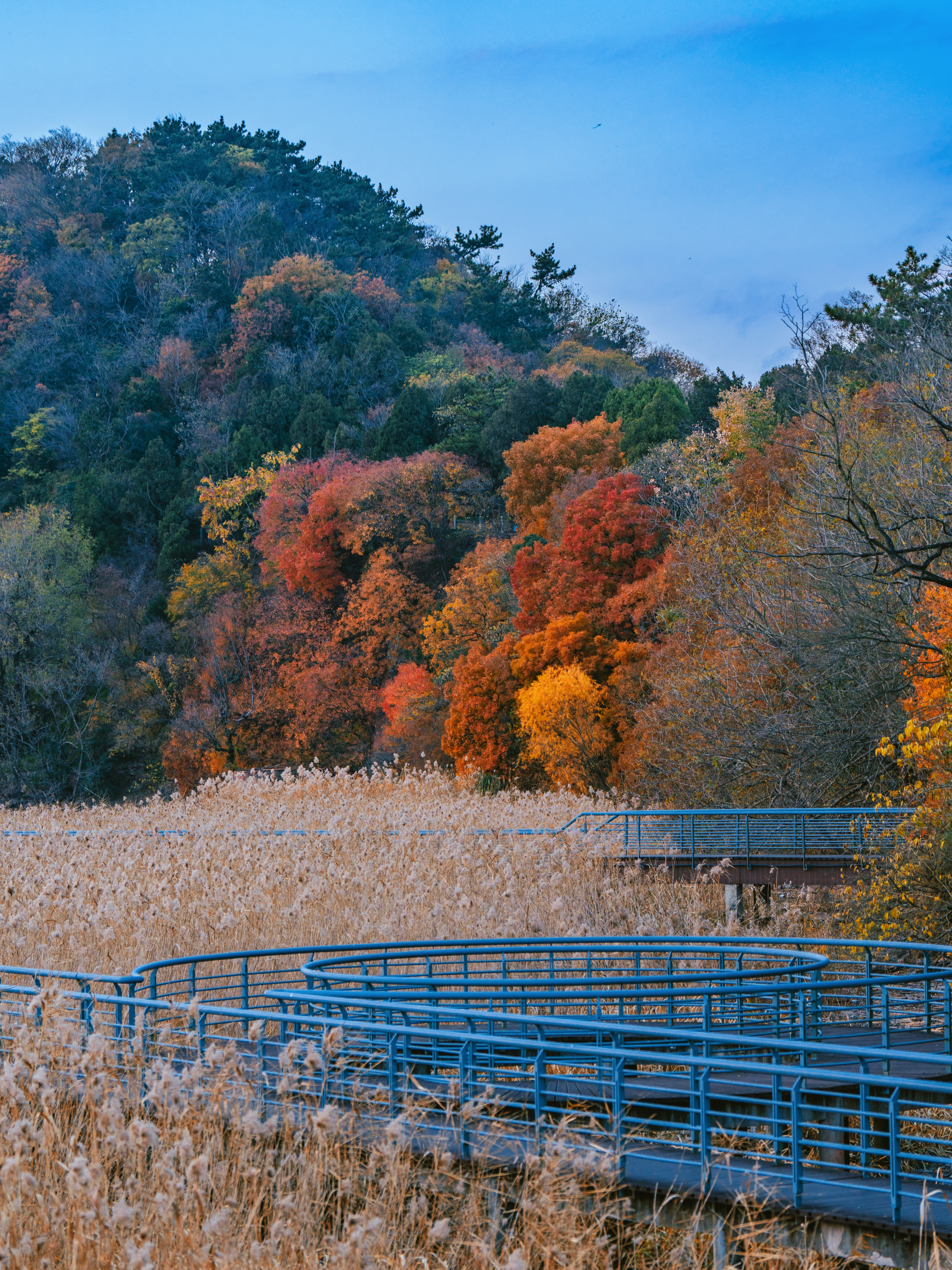 苏超赛事如火如荼，南通队虽然亚军，却圈粉无数，这座被赛场带火的江海之城，今天也送