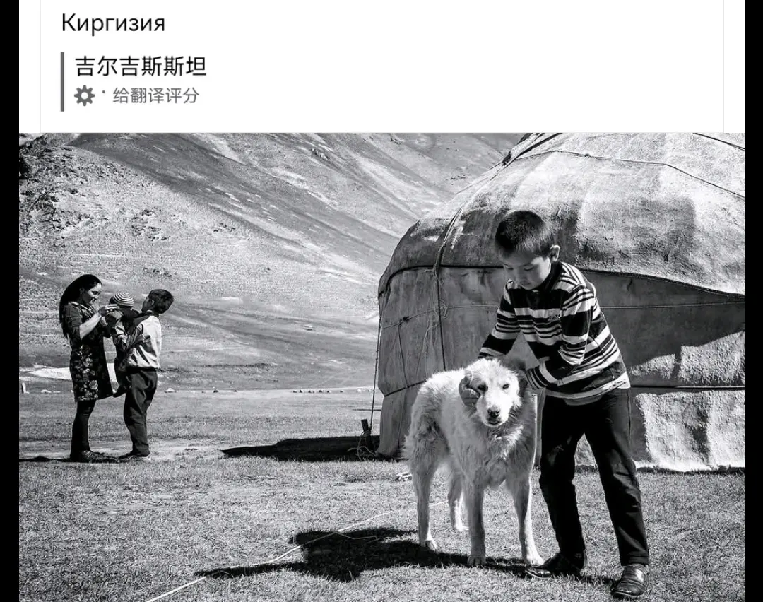 吉尔吉斯斯坦原住民猎狼犬多博特dobot