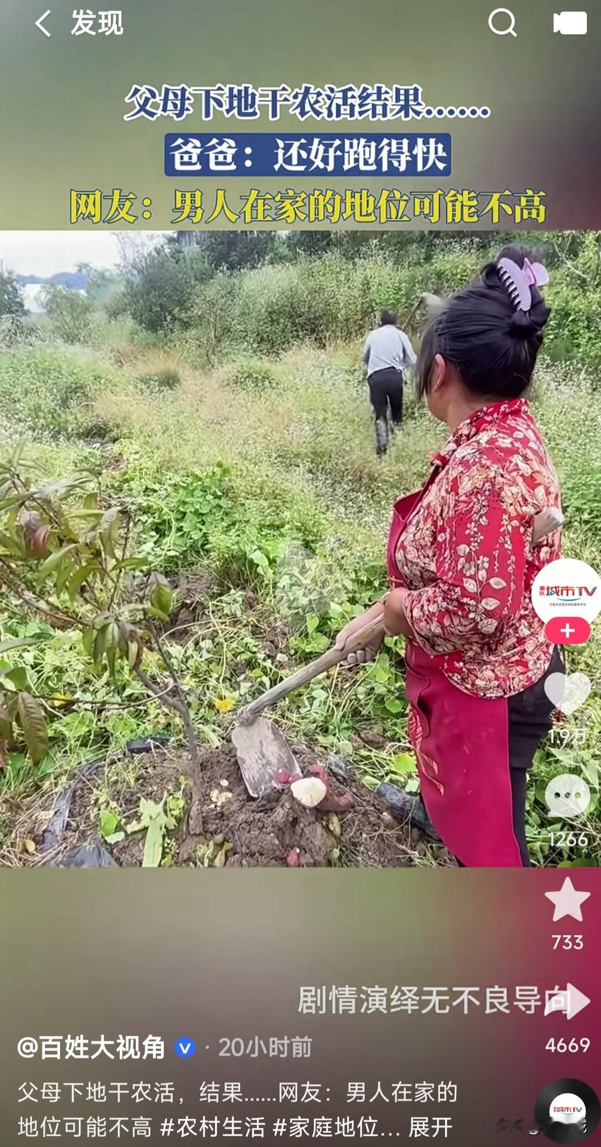 妻管严的男人就活的那么憋屈吗
两口子下地干农活
结果老婆一锄头下去挖断了红薯
这