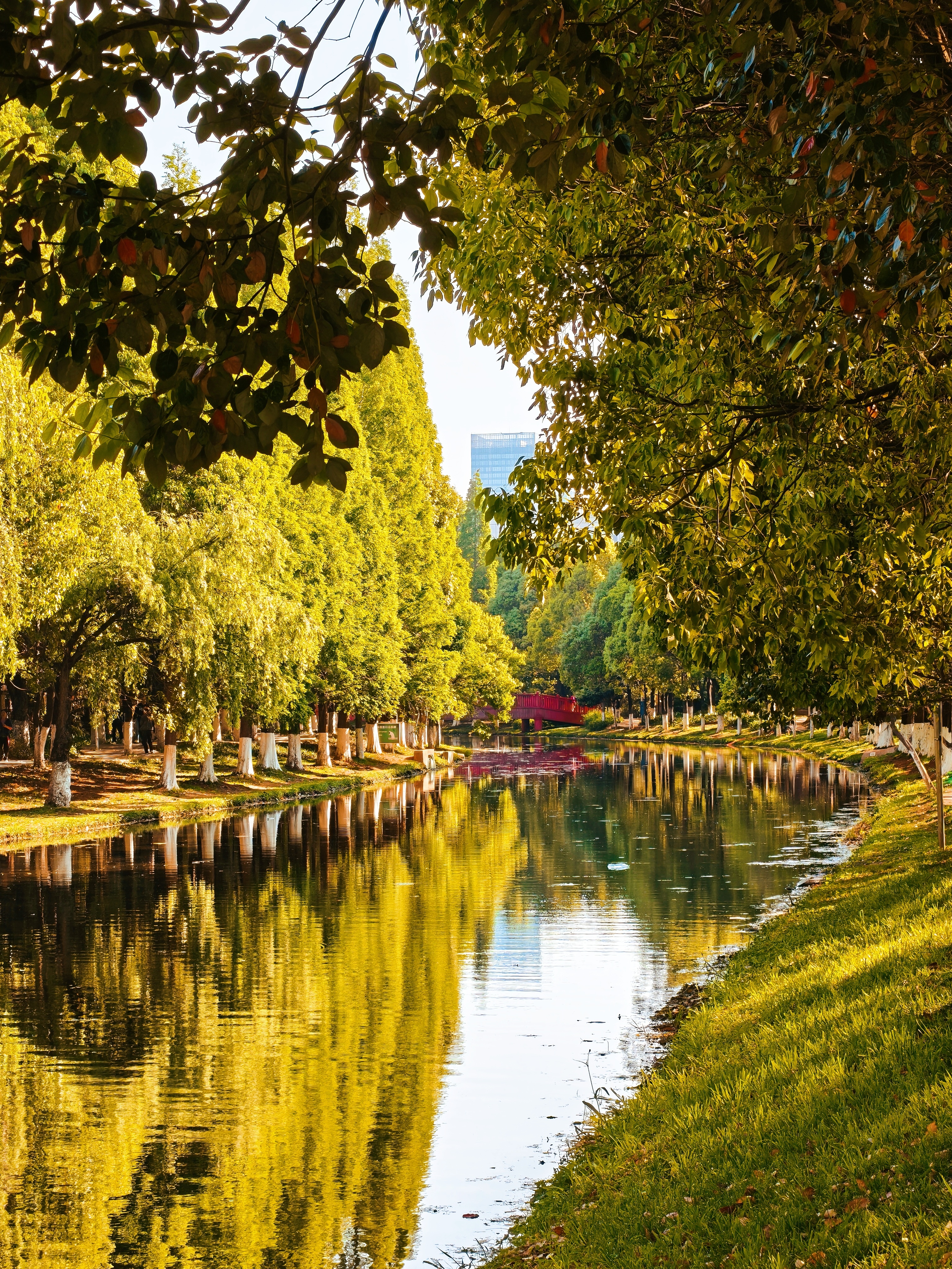 洗干净，走走路，拍几张